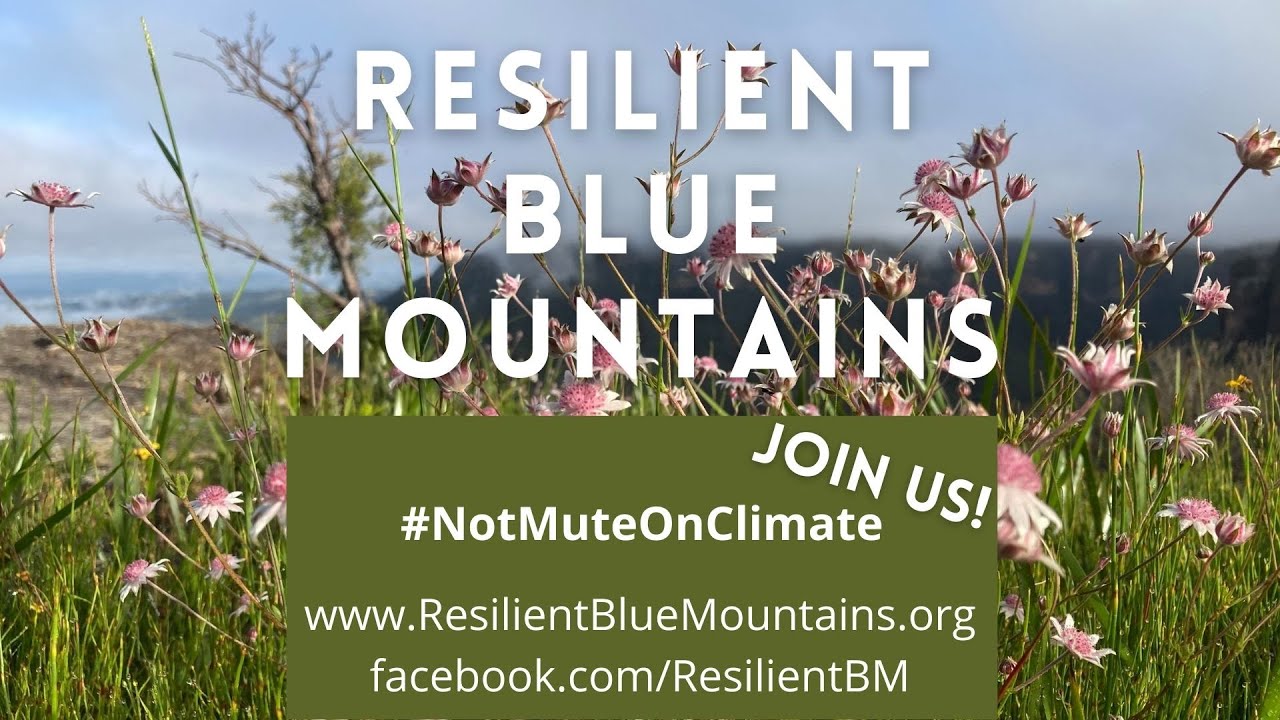 Resilient Blue Mountains Video